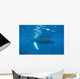 Mother and Calf Humpback Wall Decal Design 3