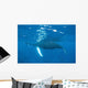 Mother and Calf Humpback Wall Decal Design 3