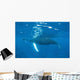 Mother and Calf Humpback Wall Decal Design 3
