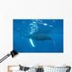 Mother and Calf Humpback Wall Decal Design 3