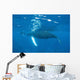 Mother and Calf Humpback Wall Decal Design 3