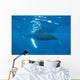 Mother and Calf Humpback Wall Decal Design 3