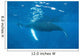 Mother and Calf Humpback Wall Decal Design 3