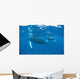 Mother and Calf Humpback Wall Decal Design 2