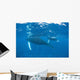 Mother and Calf Humpback Wall Decal Design 2