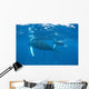 Mother and Calf Humpback Wall Decal Design 2