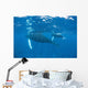 Mother and Calf Humpback Wall Decal Design 2