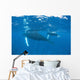 Mother and Calf Humpback Wall Decal Design 2