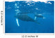 Mother and Calf Humpback Wall Decal Design 2