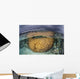 Large Boulder Coral Colony Wall Decal