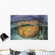 Large Boulder Coral Colony Wall Decal