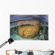 Large Boulder Coral Colony Wall Decal