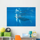 Mother and Calf Humpback Wall Decal Design 1