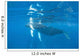 Mother and Calf Humpback Wall Decal Design 1