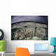 Fragile Coral Reef Grows Wall Decal Design 2