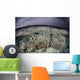 Fragile Coral Reef Grows Wall Decal Design 2