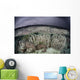 Fragile Coral Reef Grows Wall Decal Design 2