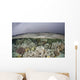 Fragile Coral Reef Grows Wall Decal Design 1