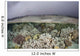 Fragile Coral Reef Grows Wall Decal Design 1