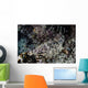 Crocodilefish Lays Seafloor Solomon Wall Decal