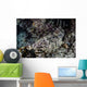 Crocodilefish Lays Seafloor Solomon Wall Decal
