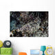 Crocodilefish Lays Seafloor Solomon Wall Decal