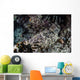 Crocodilefish Lays Seafloor Solomon Wall Decal