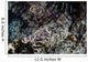 Crocodilefish Lays Seafloor Solomon Wall Decal