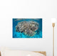 Diverse Coral Reef Grows Wall Decal Design 4