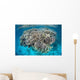 Diverse Coral Reef Grows Wall Decal Design 4