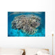 Diverse Coral Reef Grows Wall Decal Design 4