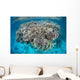 Diverse Coral Reef Grows Wall Decal Design 4
