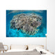 Diverse Coral Reef Grows Wall Decal Design 4
