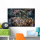 Colorful Reef-building Corals Grow Wall Decal Design 6