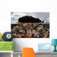 Colorful Reef-building Corals Grow Wall Decal Design 5