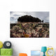 Colorful Reef-building Corals Grow Wall Decal Design 5