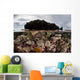 Colorful Reef-building Corals Grow Wall Decal Design 5