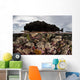 Colorful Reef-building Corals Grow Wall Decal Design 5