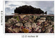 Colorful Reef-building Corals Grow Wall Decal Design 5