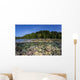 Diverse Coral Reef Grows Wall Decal Design 3