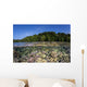 Diverse Coral Reef Grows Wall Decal Design 3