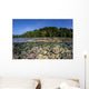 Diverse Coral Reef Grows Wall Decal Design 3