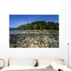 Diverse Coral Reef Grows Wall Decal Design 3