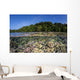 Diverse Coral Reef Grows Wall Decal Design 3