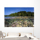 Diverse Coral Reef Grows Wall Decal Design 3