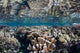 Diverse Coral Reef Grows Wall Decal Design 2