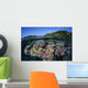 Colorful Coral Reef Grows Wall Decal Design 5