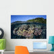 Colorful Coral Reef Grows Wall Decal Design 5
