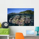 Colorful Coral Reef Grows Wall Decal Design 5