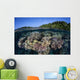Colorful Coral Reef Grows Wall Decal Design 5